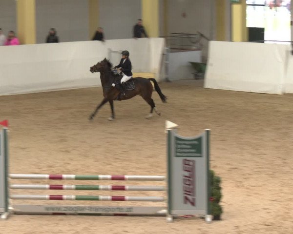 Reitturnier Stadl-Paura 2024