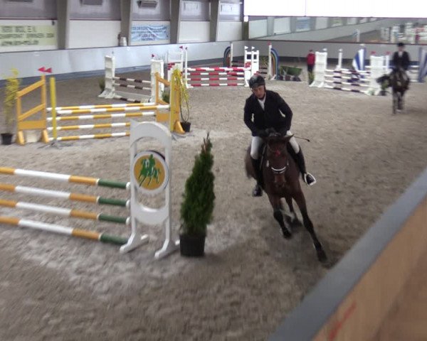 Reitturnier Münchehofe 2024