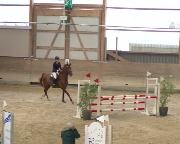 Reitturnier Schaffhausen 2024