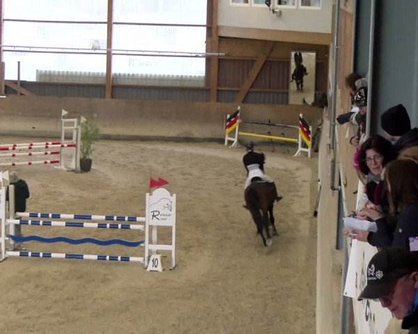 Reitturnier Schaffhausen 2024