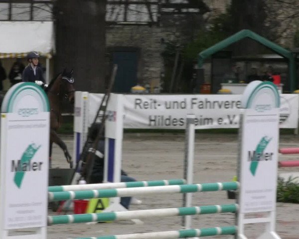Reitturnier Hildesheim-Steuerwald 2024