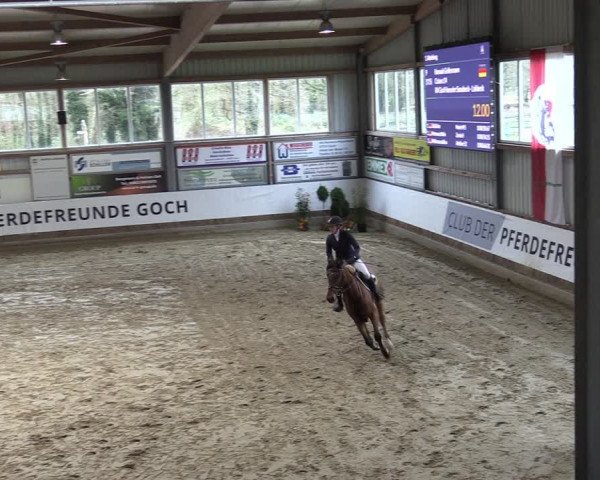 Reitturnier Goch 2024