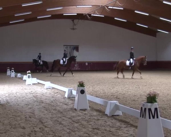 Reitturnier Eicherloh RH Laurent/Obb. 2024
