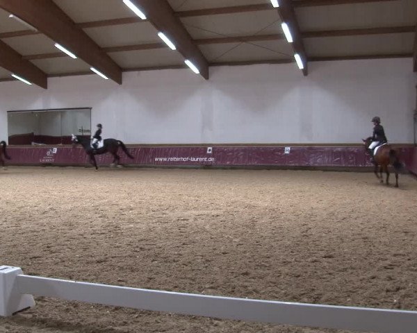 Reitturnier Eicherloh RH Laurent/Obb. 2024