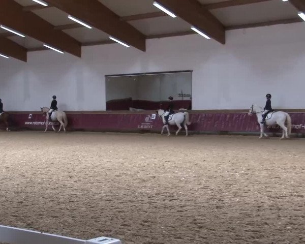 Reitturnier Eicherloh RH Laurent/Obb. 2024
