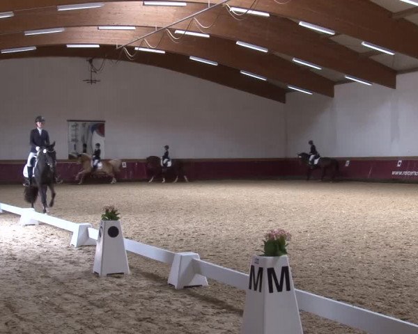 Reitturnier Eicherloh RH Laurent/Obb. 2024
