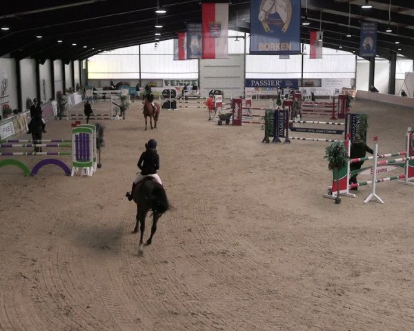 Reitturnier Borken 2024