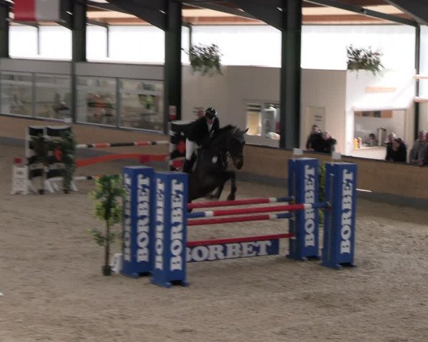 Reitturnier Borken 2024