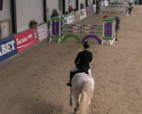 Reitturnier Borken 2024