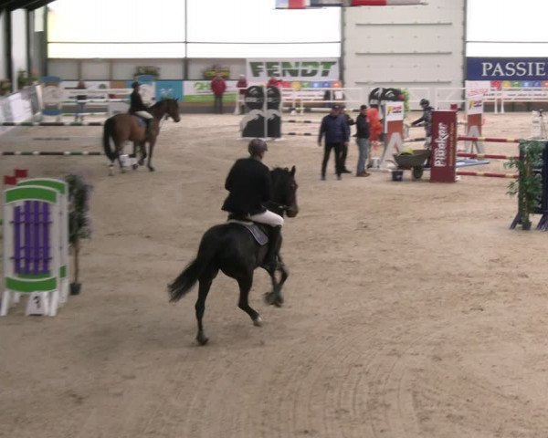 Reitturnier Borken 2024