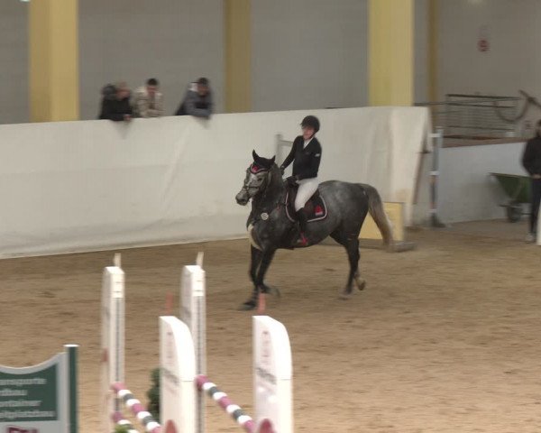 Reitturnier Stadl-Paura 2024
