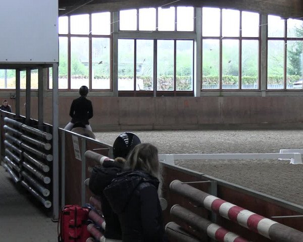 Reitturnier Leverkusen-Rheindorf 2024