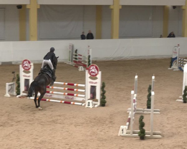 Reitturnier Stadl-Paura 2024