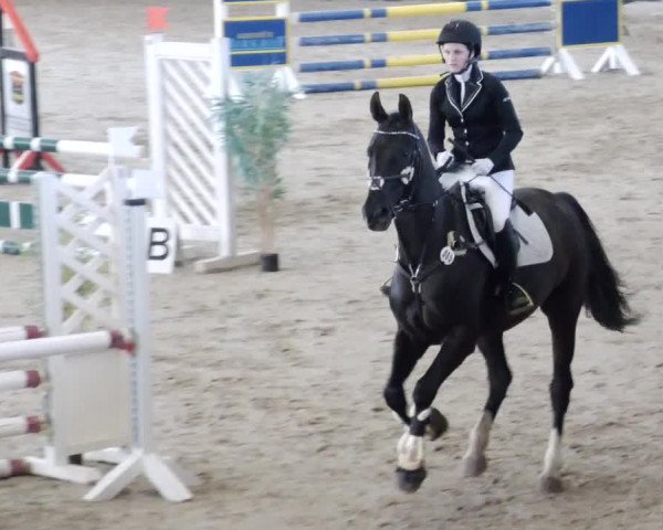 Reitturnier Weil der Stadt 2024