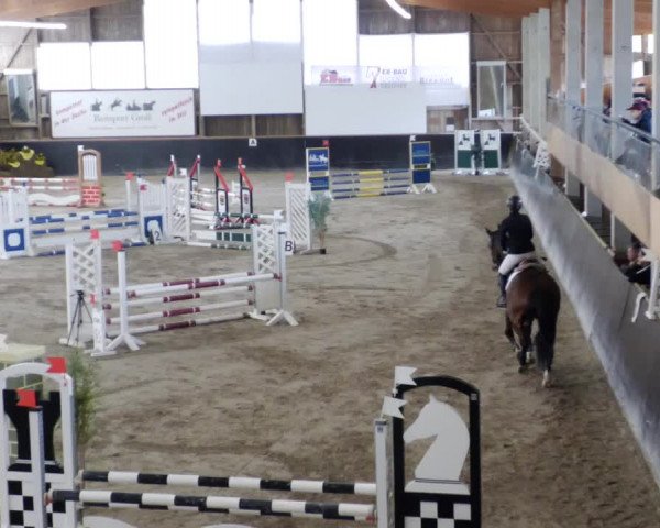 Reitturnier Weil der Stadt 2024