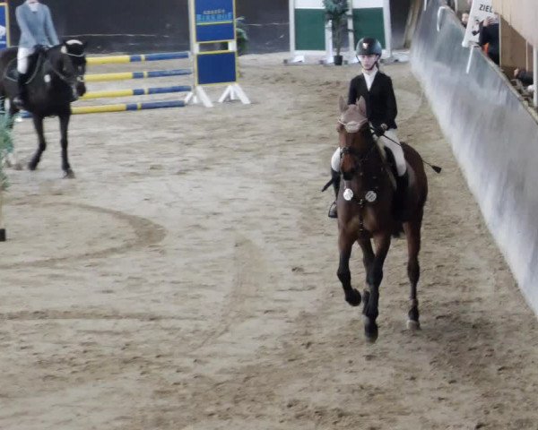 Reitturnier Weil der Stadt 2024