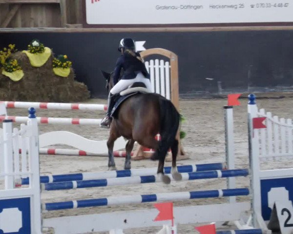 Reitturnier Weil der Stadt 2024