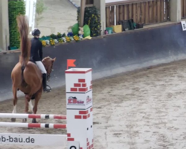Reitturnier Weil der Stadt 2024