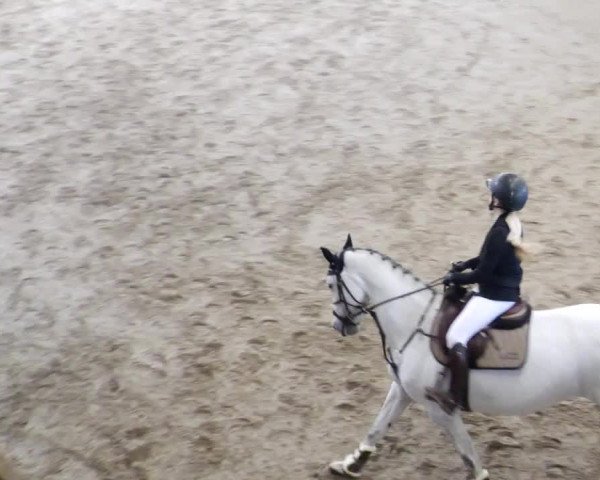 Reitturnier Weil der Stadt 2024