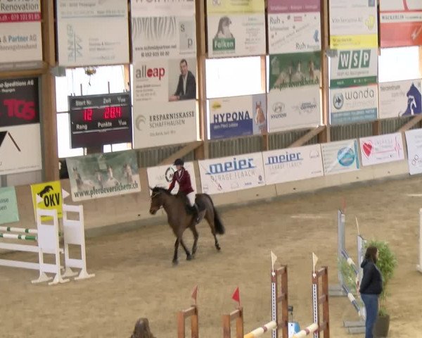 Reitturnier Schaffhausen 2024