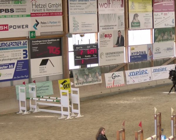 Reitturnier Schaffhausen 2024
