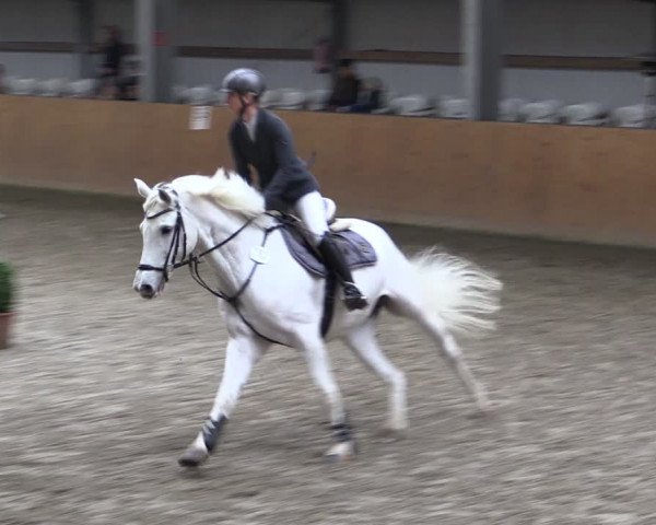 Reitturnier Schlieckau 2024