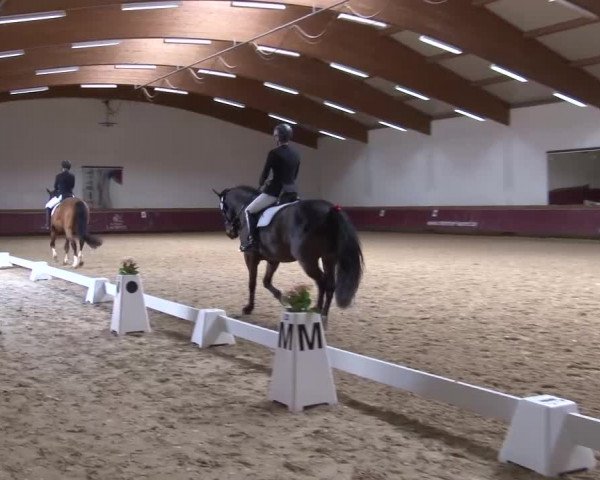 Reitturnier Eicherloh RH Laurent/Obb. 2024