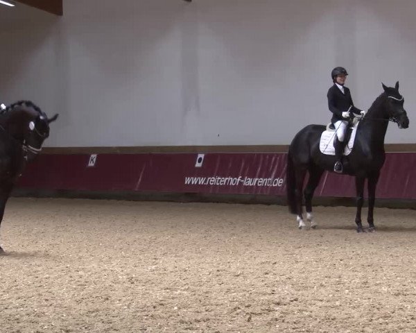 Reitturnier Eicherloh RH Laurent/Obb. 2024