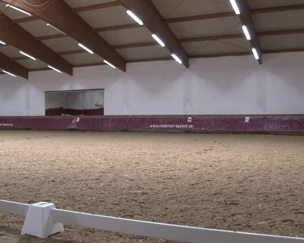Reitturnier Eicherloh RH Laurent/Obb. 2024