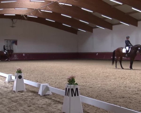 Reitturnier Eicherloh RH Laurent/Obb. 2024