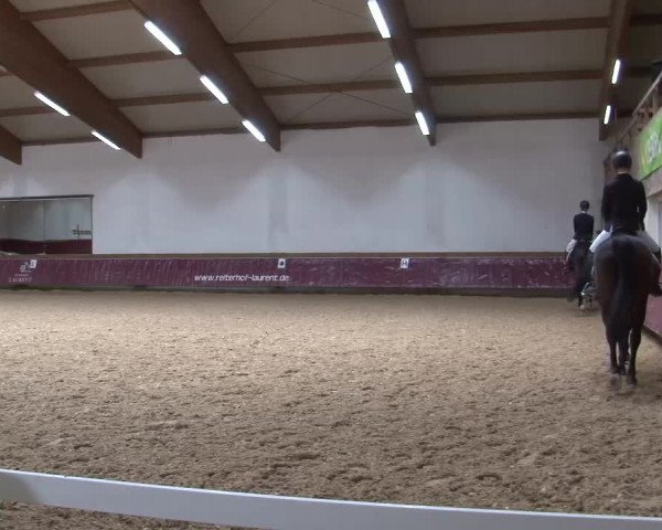 Reitturnier Eicherloh RH Laurent/Obb. 2024