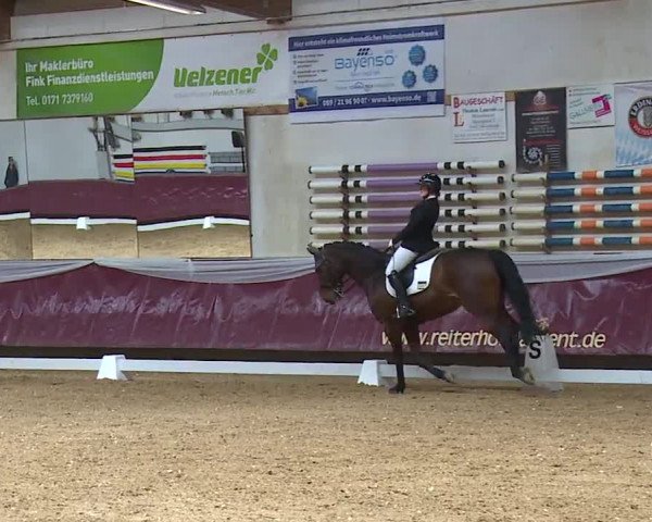 Reitturnier Eicherloh RH Laurent/Obb. 2024