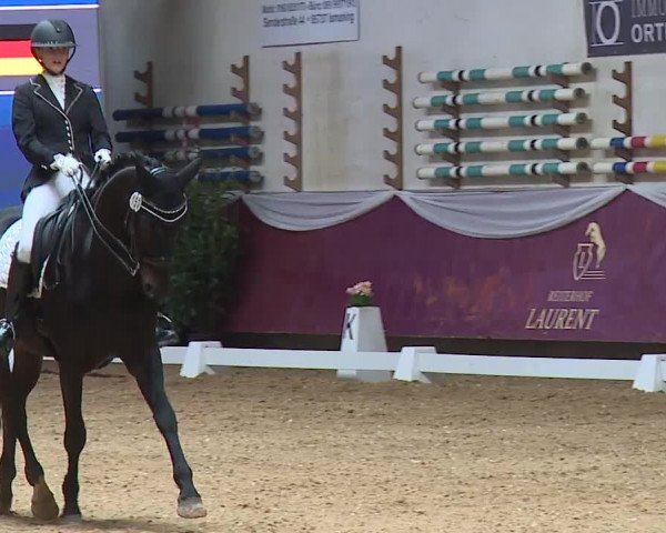 Reitturnier Eicherloh RH Laurent/Obb. 2024