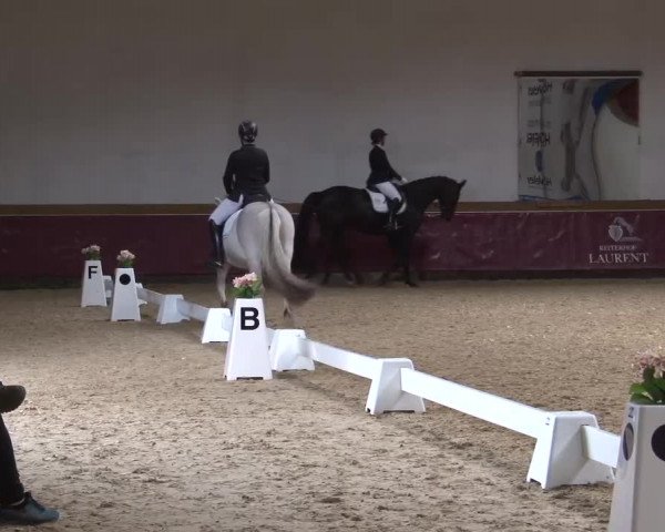 Reitturnier Eicherloh RH Laurent/Obb. 2024