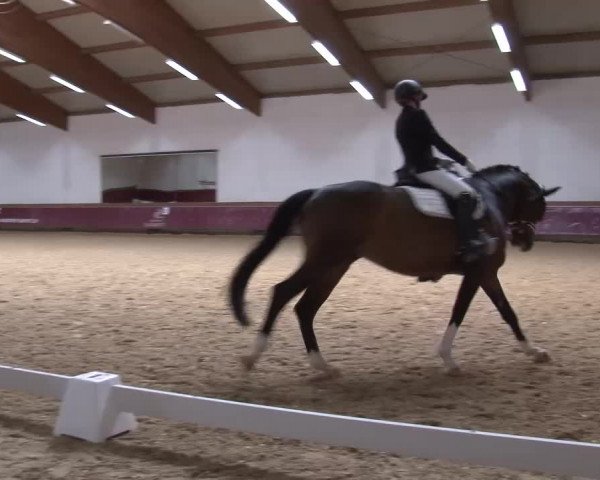 Reitturnier Eicherloh RH Laurent/Obb. 2024