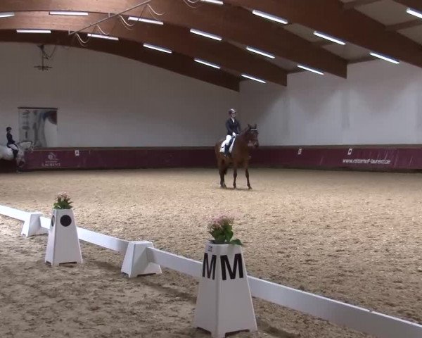 Reitturnier Eicherloh RH Laurent/Obb. 2024