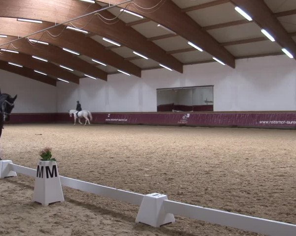 Reitturnier Eicherloh RH Laurent/Obb. 2024