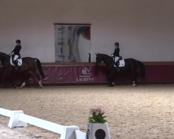 Reitturnier Eicherloh RH Laurent/Obb. 2024