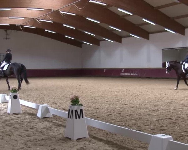 Reitturnier Eicherloh RH Laurent/Obb. 2024