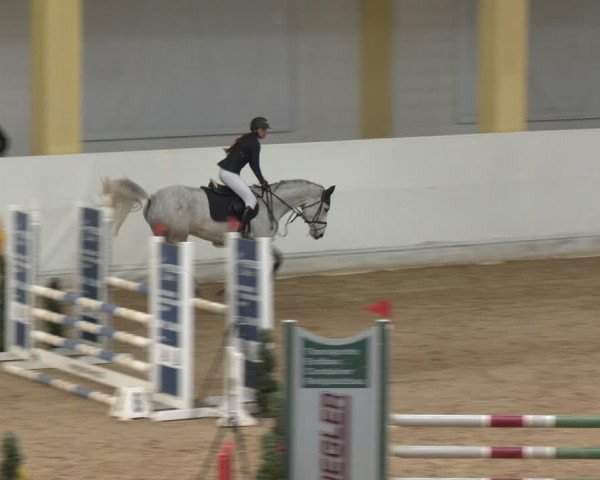 Reitturnier Stadl-Paura 2024
