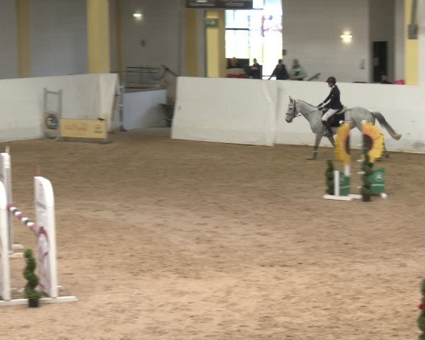 Reitturnier Stadl-Paura 2024