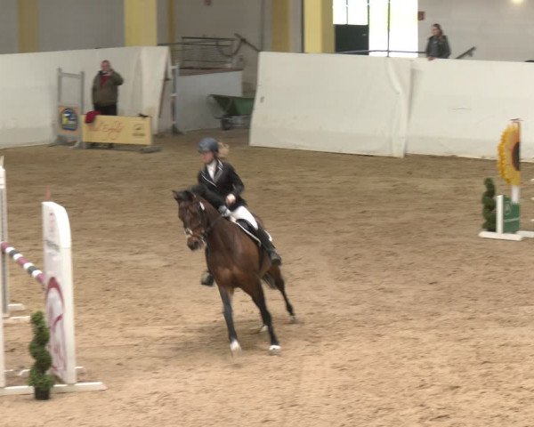 Reitturnier Stadl-Paura 2024