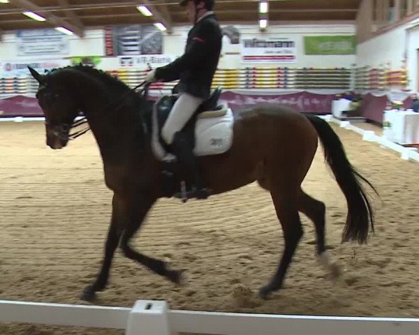 Reitturnier Eicherloh RH Laurent/Obb. 2024
