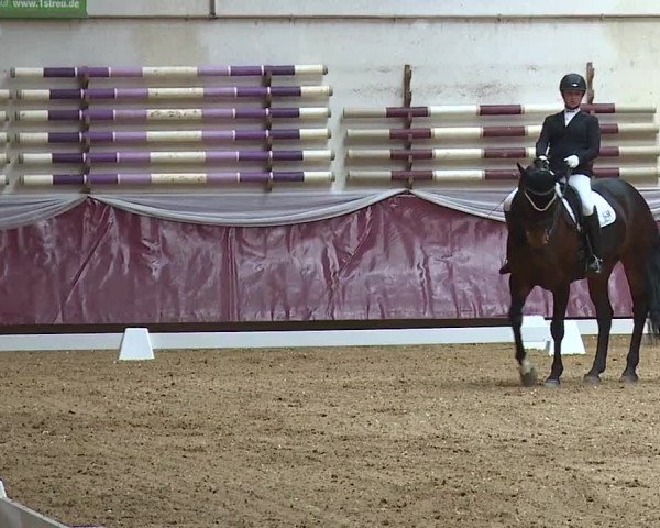 Reitturnier Eicherloh RH Laurent/Obb. 2024