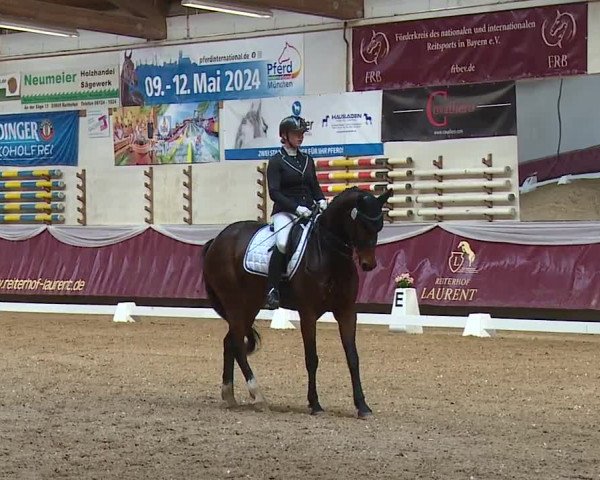 Reitturnier Eicherloh RH Laurent/Obb. 2024