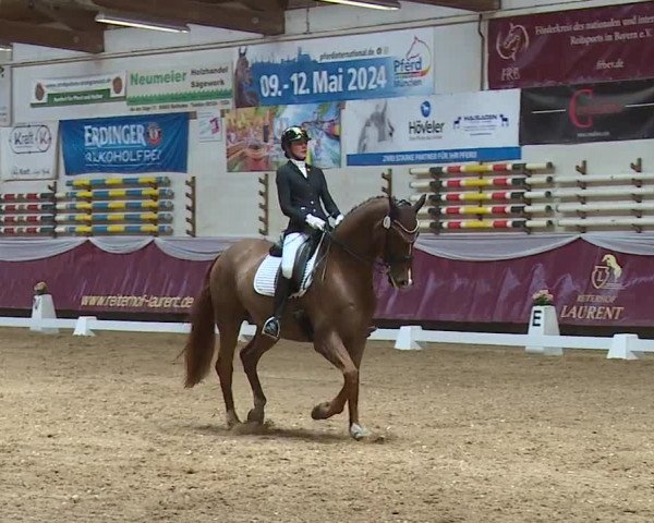 Reitturnier Eicherloh RH Laurent/Obb. 2024
