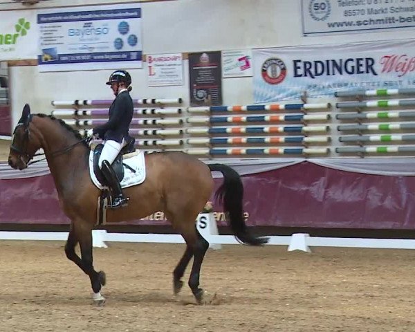 Reitturnier Eicherloh RH Laurent/Obb. 2024