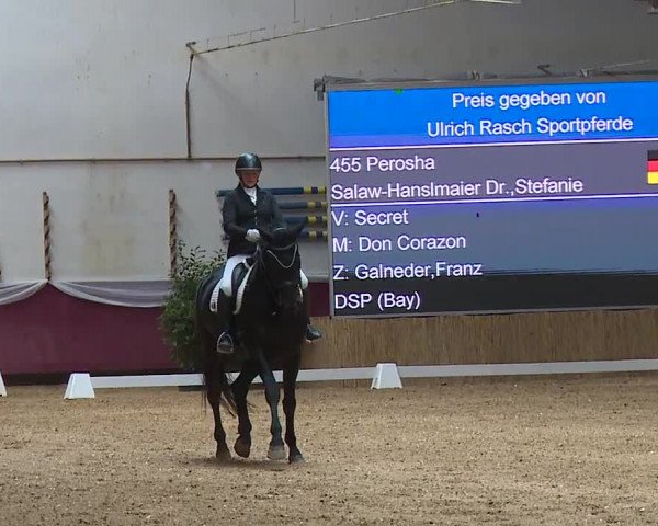 Reitturnier Eicherloh RH Laurent/Obb. 2024