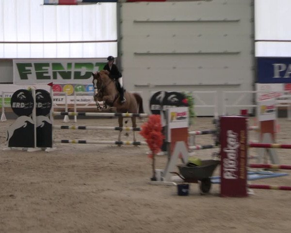 Reitturnier Borken 2024