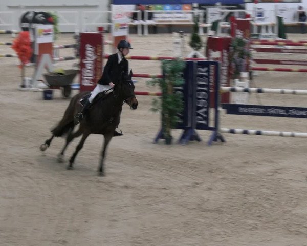 Reitturnier Borken 2024